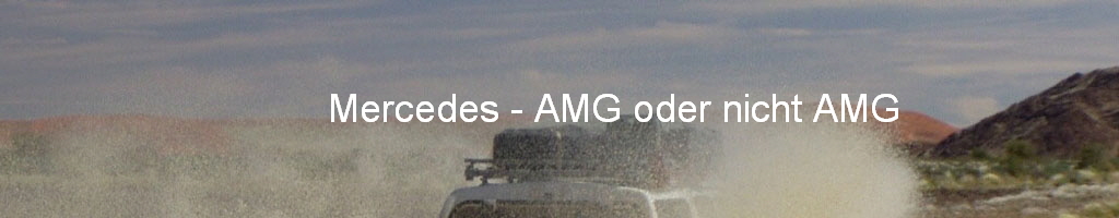 Mercedes - AMG oder nicht AMG