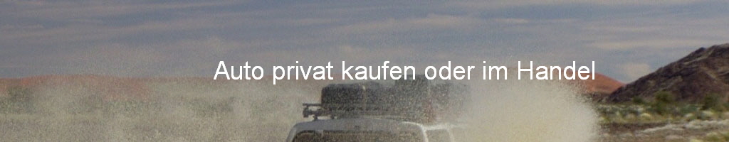 Auto privat kaufen oder im Handel